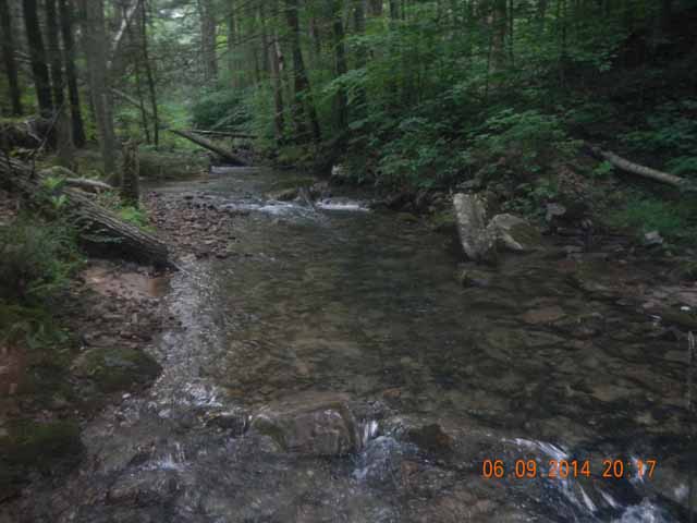 fowlers hollow.Laural run 06-09-14 083.jpg -                                